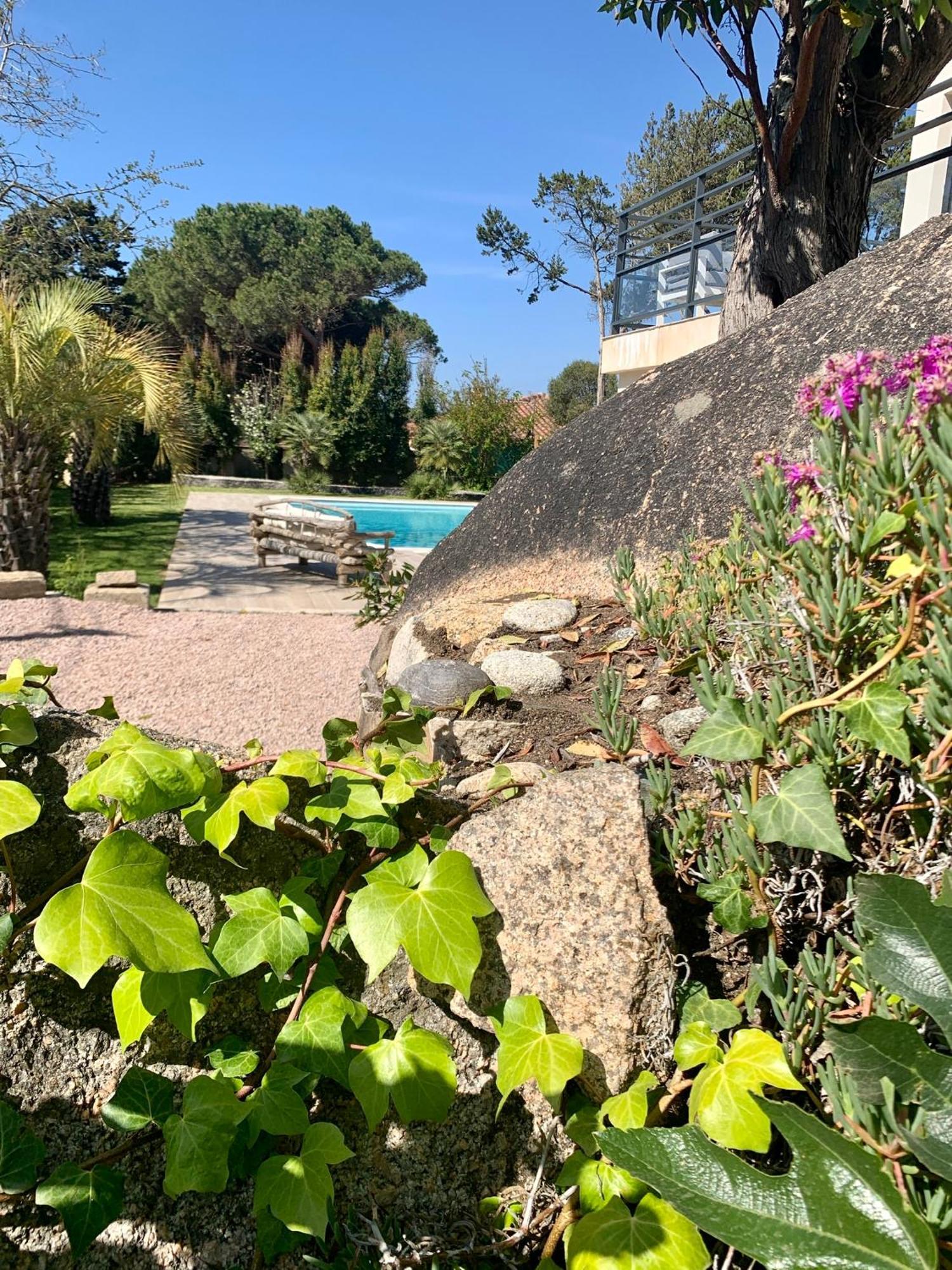 Villa Macalia Pietrosella Extérieur photo
